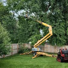 Best Leaf Removal  in Selden, NY
